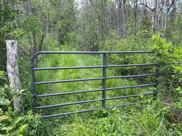 Tbd S Geneva Rd, Bessemer, MI 49911