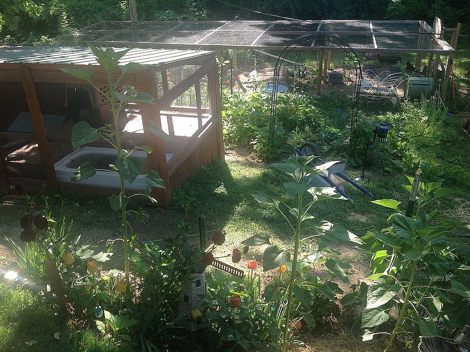 Backyard and gardens predate