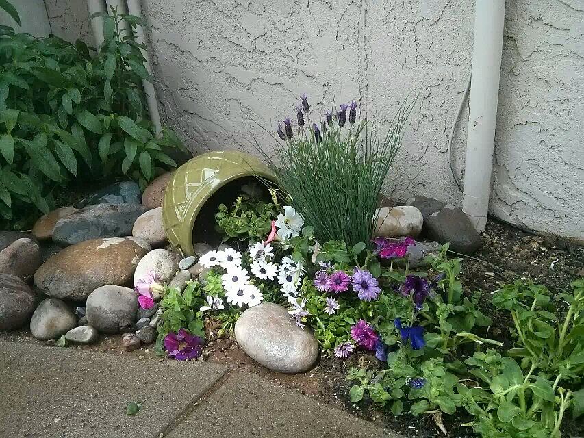 1st image of 1750 E Mateo Cir APT 108