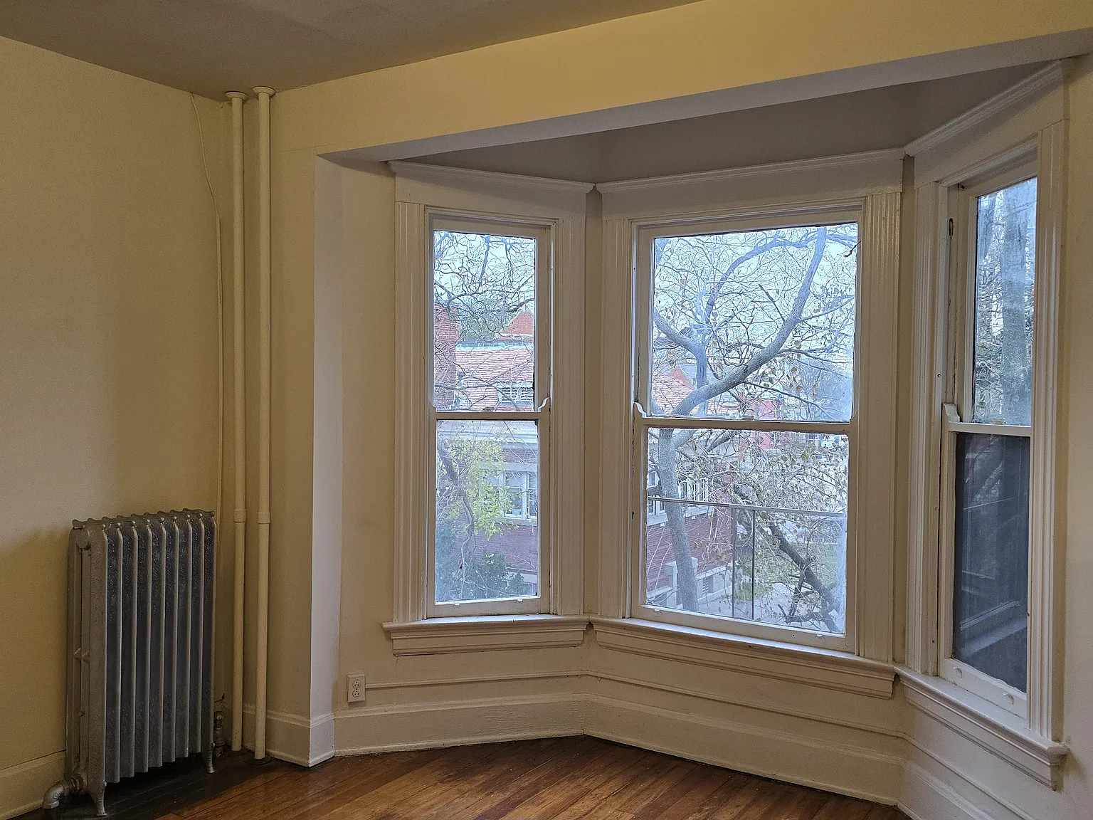 2 bed, 950 sqft, $1,100 — Photo 2