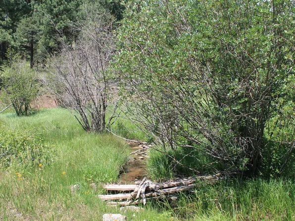 Las Palomas Rd, Cuba, NM 87013