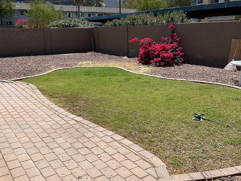 Back patio and yard