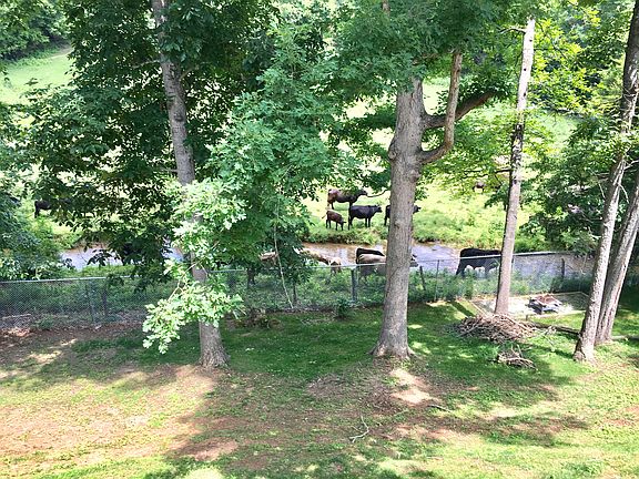 2nd image of 867 Dalton Cir