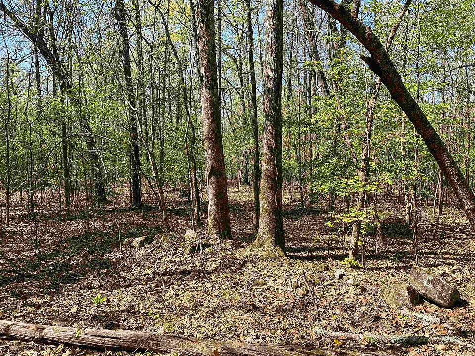 2nd image of Creek Side Rd