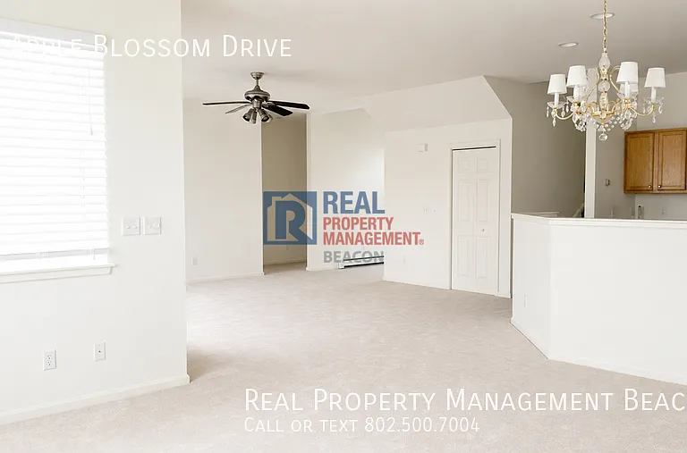14 Apple Blossom Dr — Photo 8