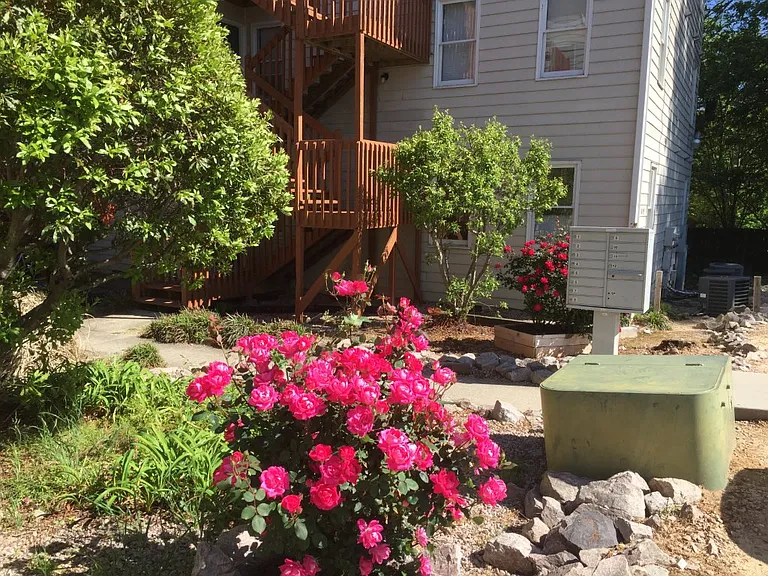 1009 Carlton Ave #C — Photo 16