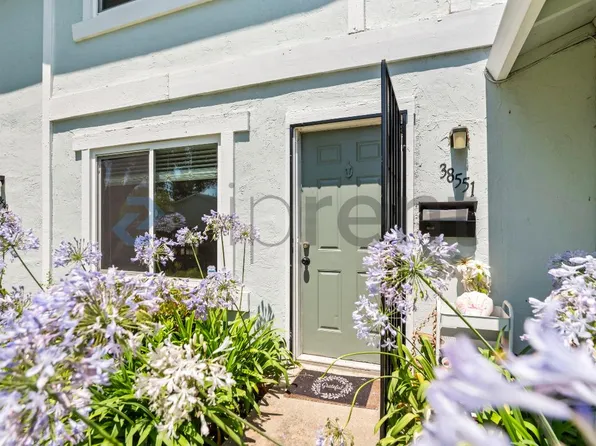 38551 Royal Ann Cmn, Fremont, CA 94536