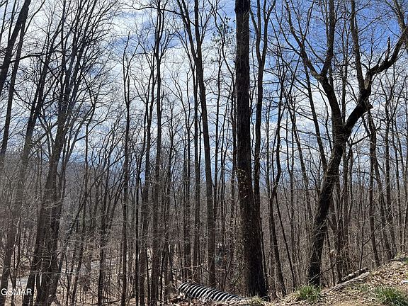 4th image of 18 Clingmans Vw Lot 18