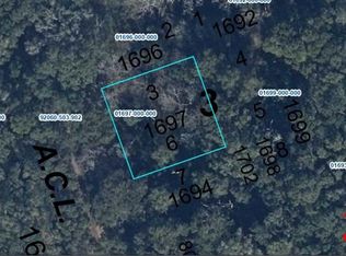 Wade LOT 3, High Springs, FL 32643