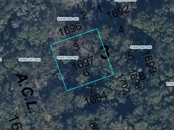 Wade Lot 3, High Springs, FL 32643