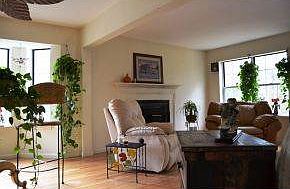 South Facing Windows