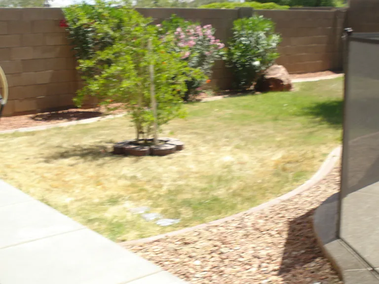 5346 N Ormondo Way — Photo 11