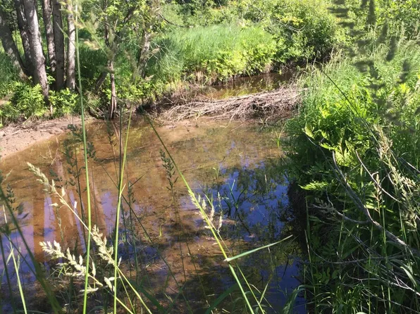 Map 5 Lot 75 Intervale Road, Jay, ME 04239