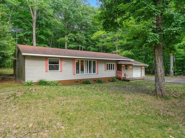 3310 Cedar Ln, Indian River, MI 49749