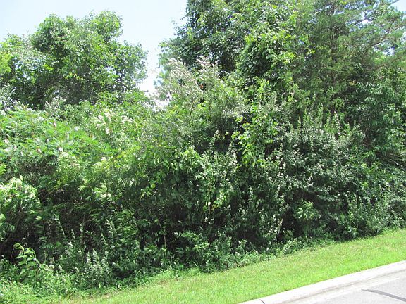 2nd image of 203 Ottawa Pl