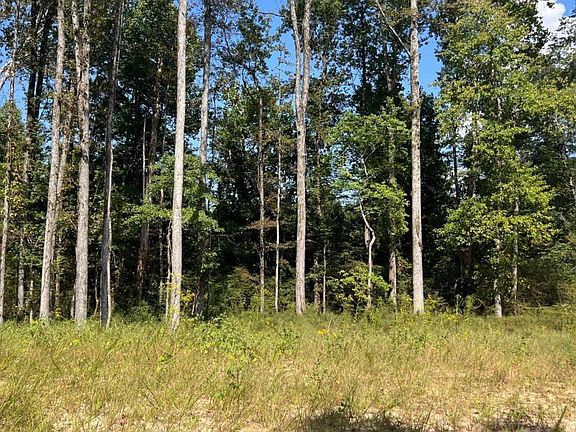 4th image of 512 Level Creek Rd