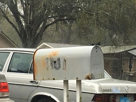 2nd image of 1107 Papaya Dr