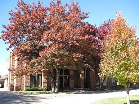 1st image of 14 Southpark Dr