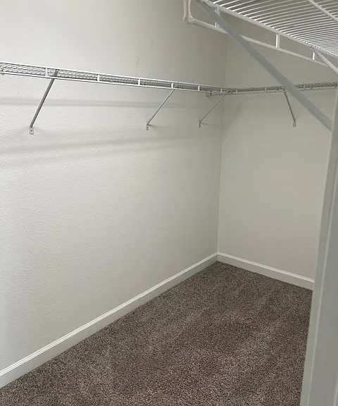 7779 Purple Finch St — Photo 38