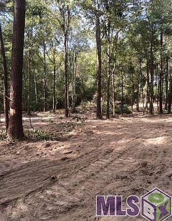 5th image of LOT 49 Twin Pine Ln