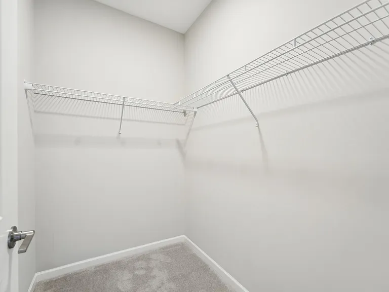 Primary Walk-in closet