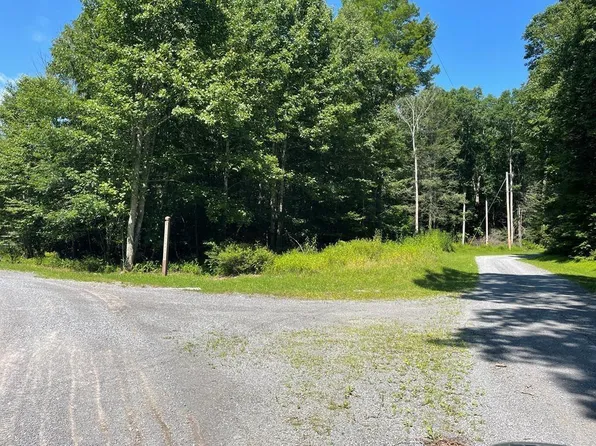 Gate #3-lot 31, Bastian, VA 24314