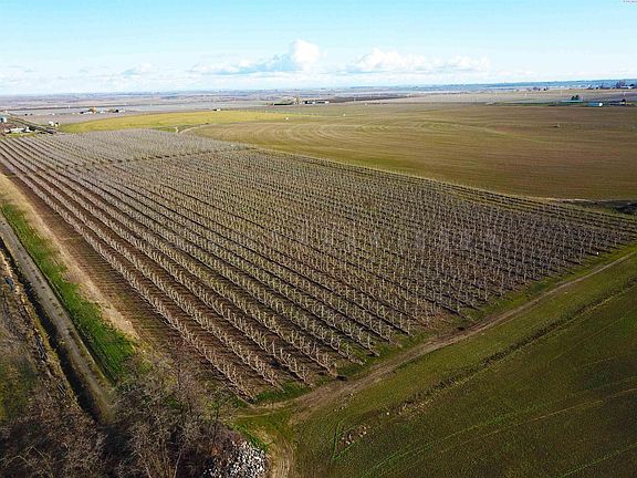 2nd image of 150 Fern Rd