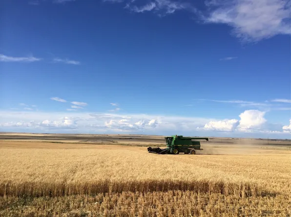 Nhn Hwy #379, Dutton, MT 59433