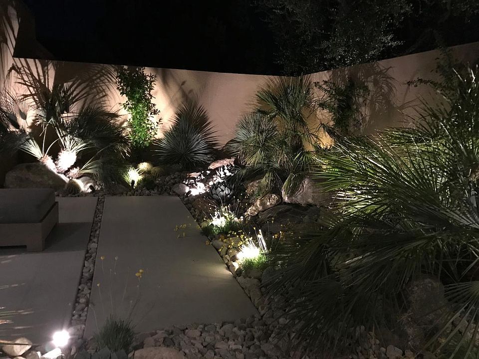 Courtyard garden at night.