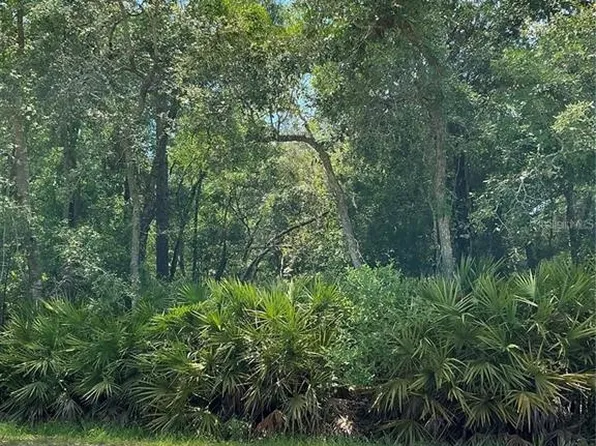 LOT 15 NW 118th Ter Lot 15, Ocala, FL 34482