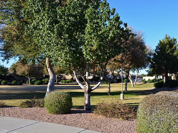 3rd image of 1707 W Bluebird Dr