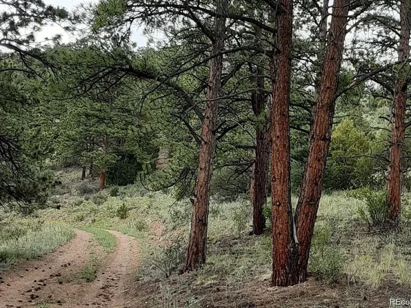 000 Cutter Trail, Oak Creek, CO 80467