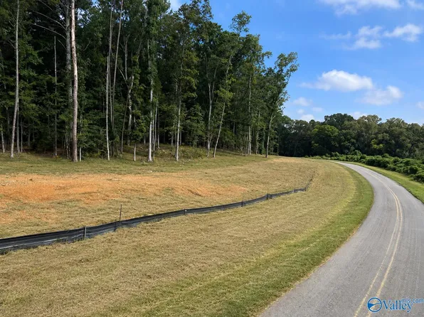 LOT 10 County Road 114, Scottsboro, AL 35769