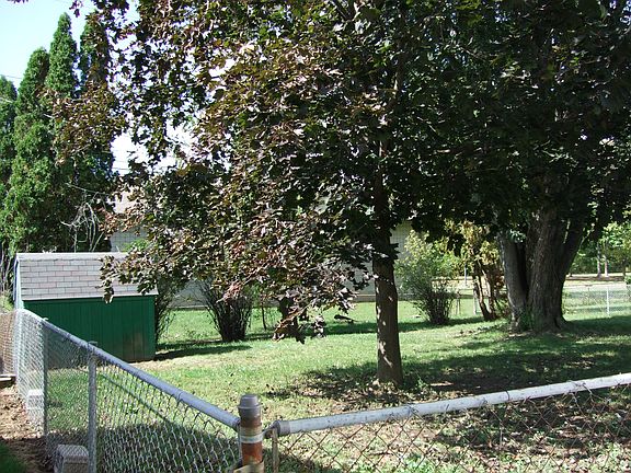 Fenced back yard abutting park