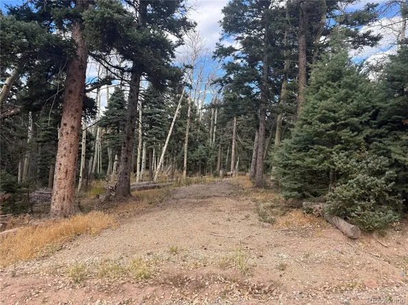 2662 Petito Drive LOT 2662, Fort Garland, CO 81133