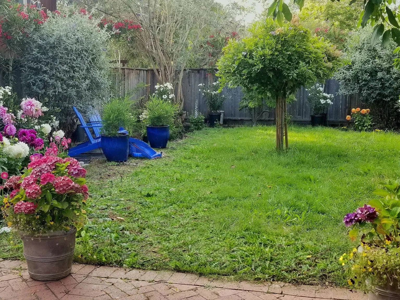 2 bed, 990 sqft, $4,295 — Photo 2