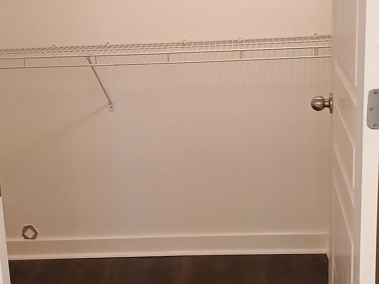 Closet now has new LVP flooring instead of carpet