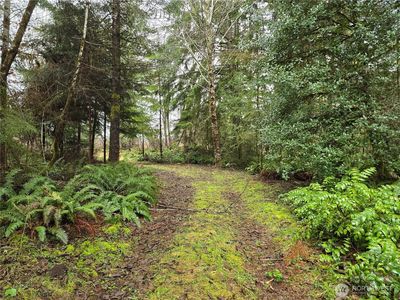 0 Lot 1&2 W Elk Hill Road, Elma, WA, 98541