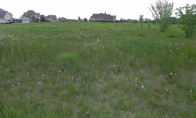 1st image of Lot 15 Blackberry Crossing