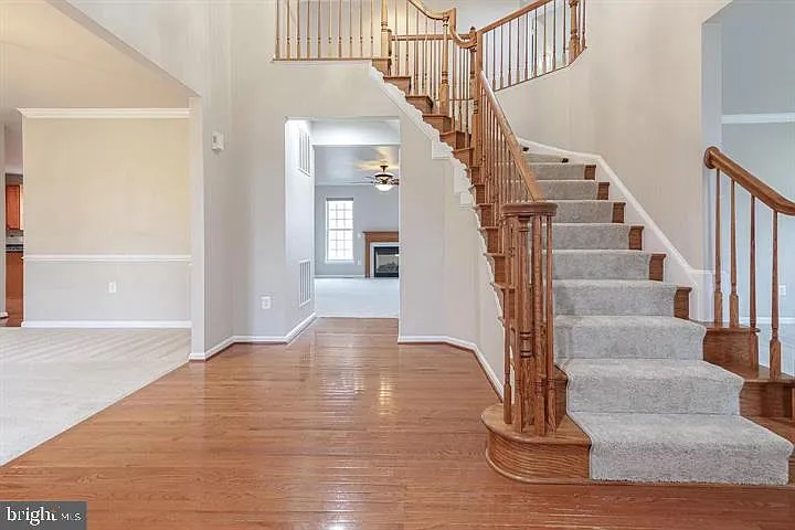 564 Woodruff Ln — Photo 11