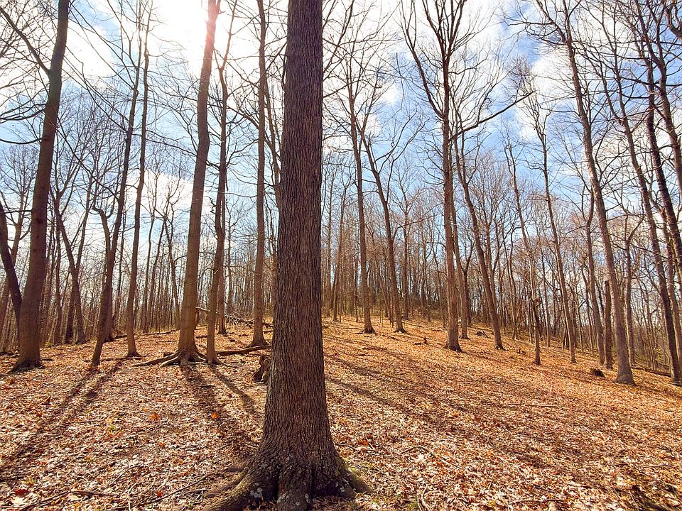 1st image of 0 Millers Run Back Run Rd