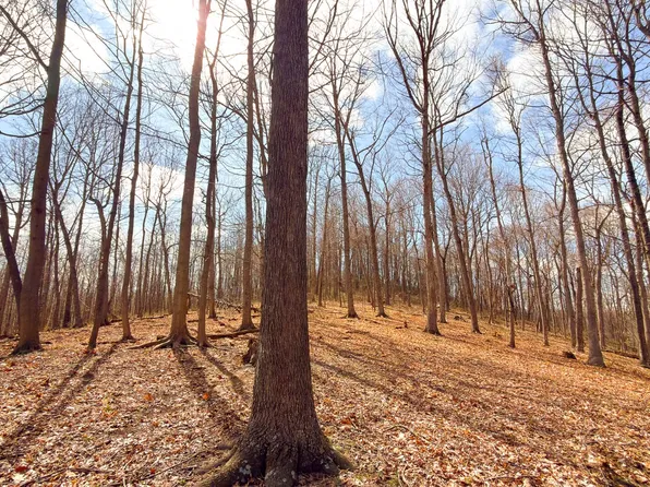 0 Millers Run Back Run Rd, Lucasville, OH 45648