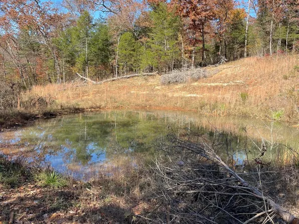 Aaa Highway 76, Cape Fair, MO 65624