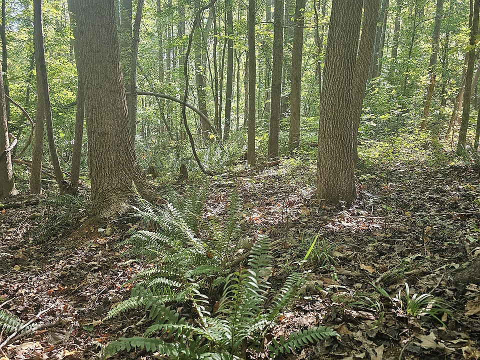 1st image of 0 Off Old County Home Road