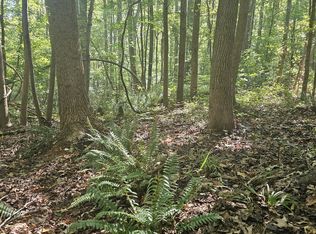 0 Off Old County Home Road, Nashville, NC 27856