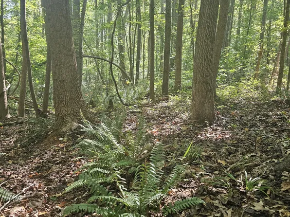 0 Off Old County Home Road, Nashville, NC 27856