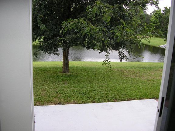 Looking Out Back Sliding Glass Doors
