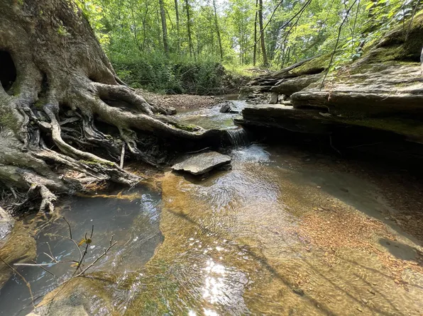 10119 Ed Lyell Rd, Lyles, TN 37098