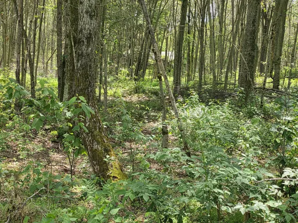 LOT 2 Pioneer Trl, Muncy Valley, PA 17758