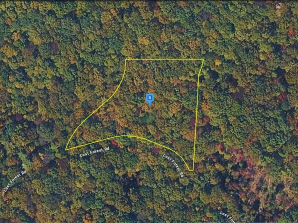 935 Lost Forest Rd, Ellijay, GA 30536